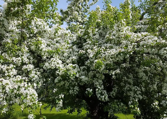 Joentalo Szálloda *